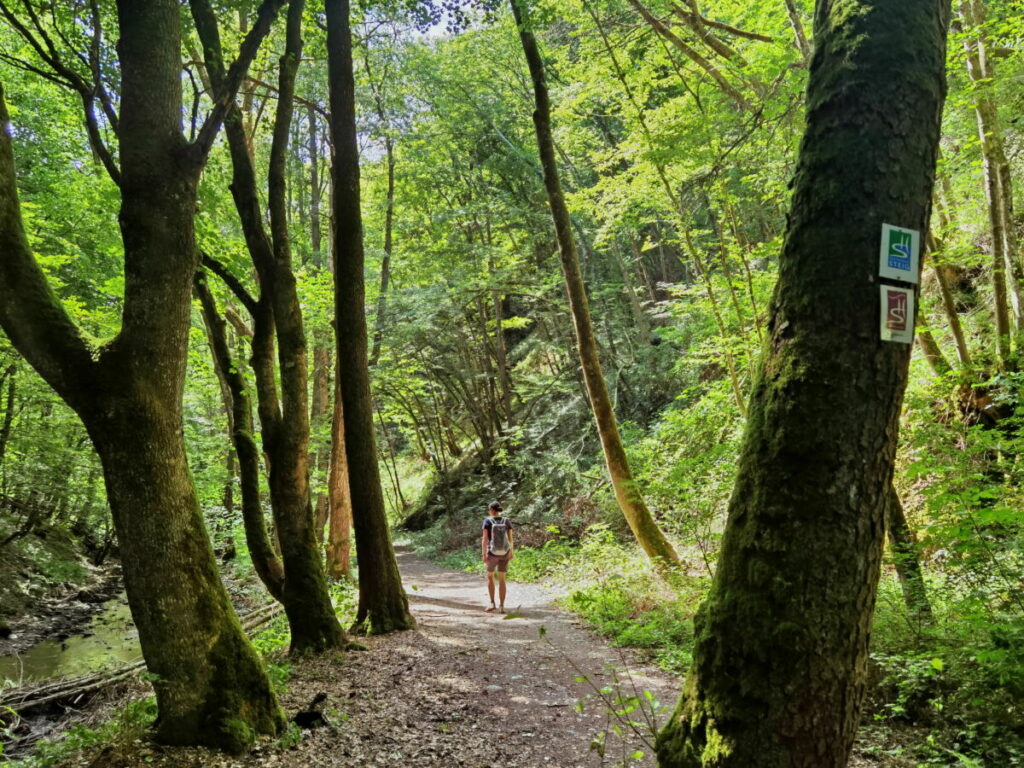 Wildromantisch durch die Baybachklamm wandern im Hunsrück