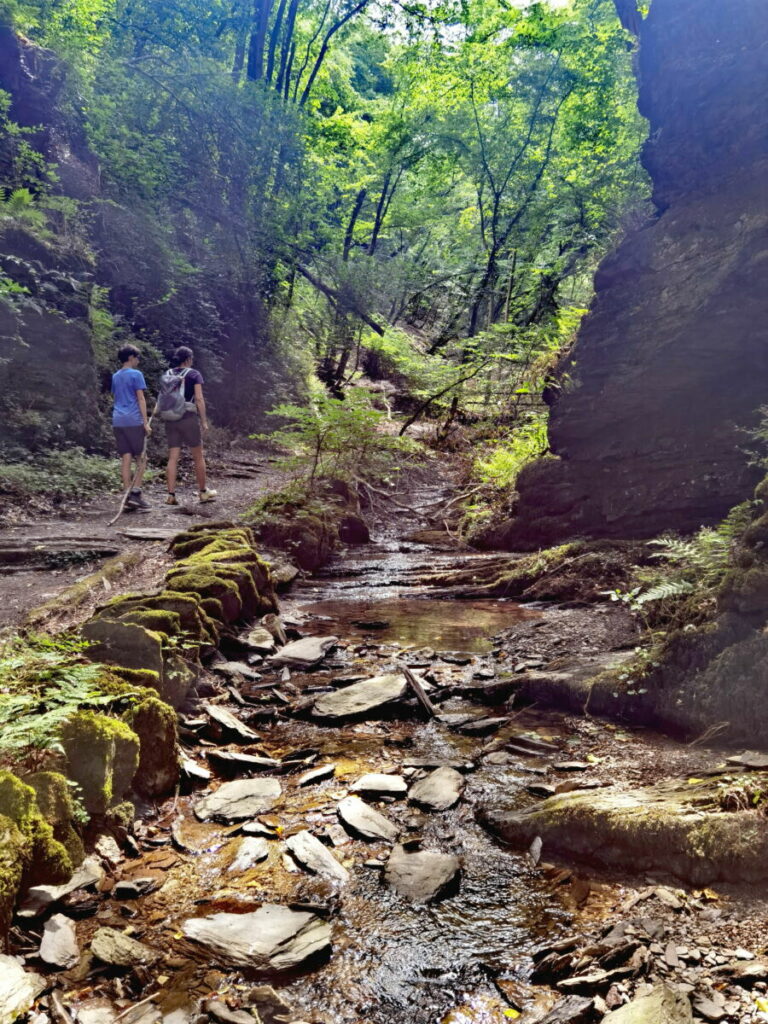 Baybachklamm Wanderung mit Kindern