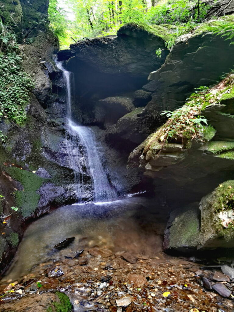 Baybachklamm Wanderung