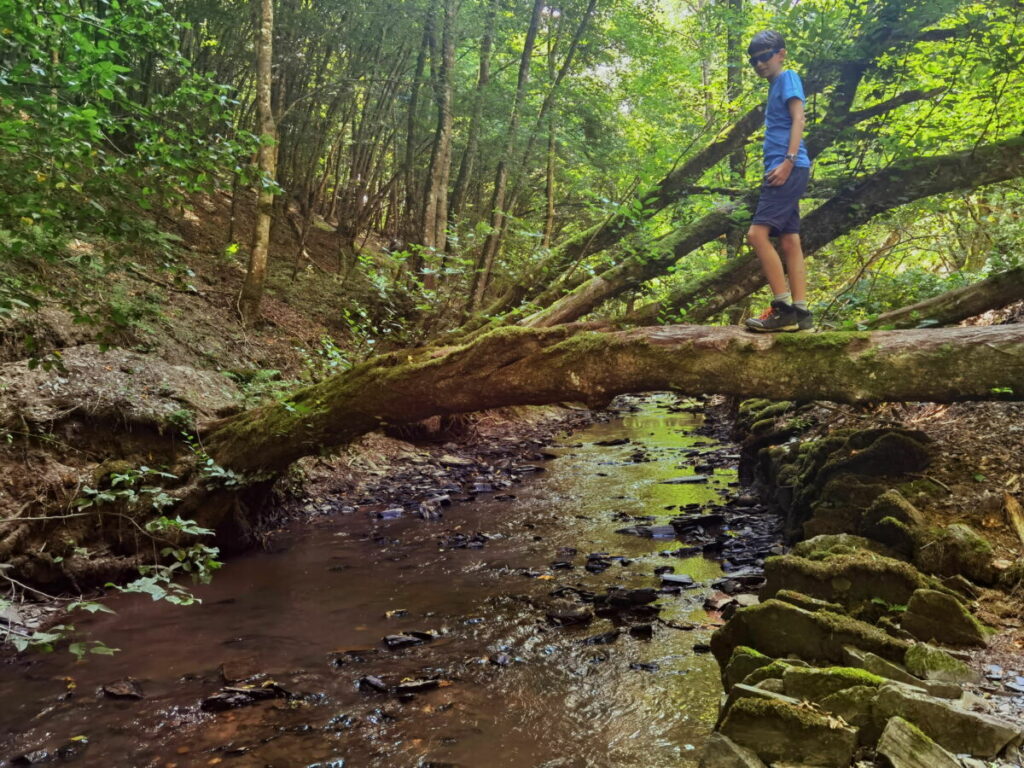 Durch die Baybachklamm mit Kindern wandern? Ein abwechslungsreiches Abenteuer, das lohnt.