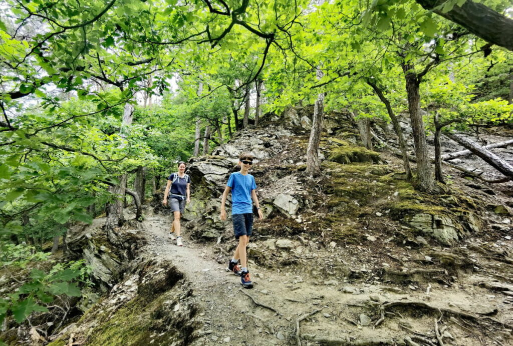 Durch den magischen Eichenwald auf der Traumschleife Baybachklamm wandern