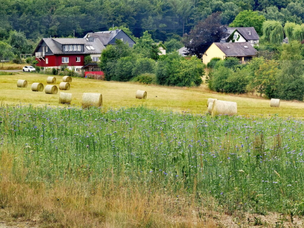 Abwechslungsreiches Landschaftsbild auf der Traumschleife Baybachklamm - hier der Weiler Steffenshof