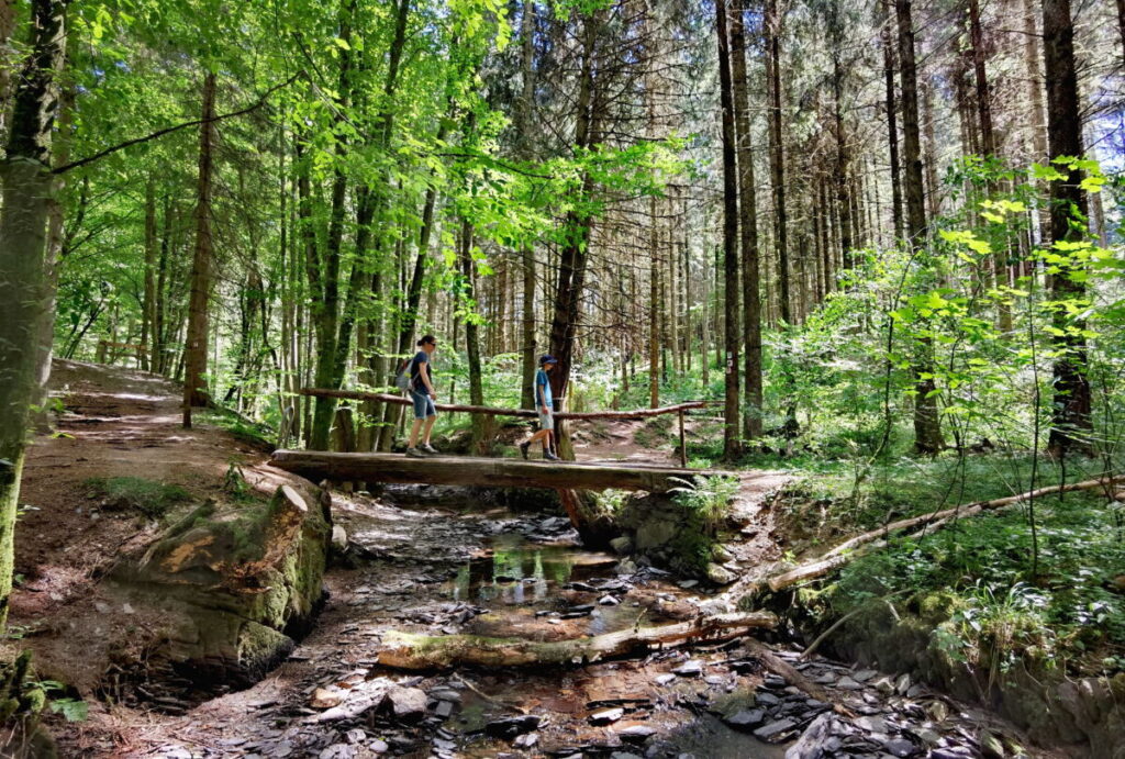 Der Hunsrück ist geprägt von schöner Natur, kleinen Städten, Burgen und Ruinen