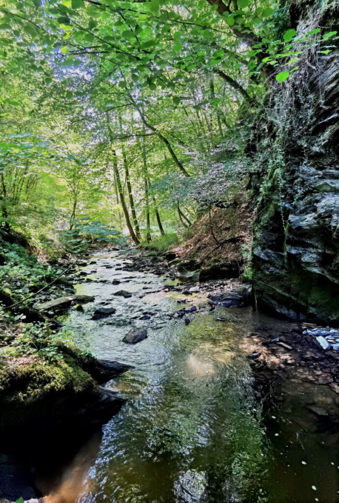 Durch die Ehrbachklamm im Hunsrück wandern